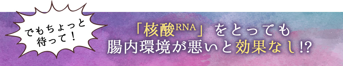 「核酸RNA」をとっても腸内環境が悪いと効果なし!?